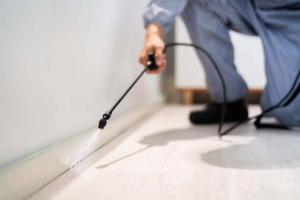 Licensed Exterminator service in Patrick Springs, VA - Show Me Pest Control